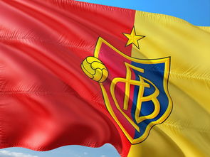 哈登回归赛场,大胜首场状态亮眼,瑞士队观众沸腾!